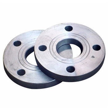 ASTM A182 F304L F316L Casting Flange Stainless Steel 