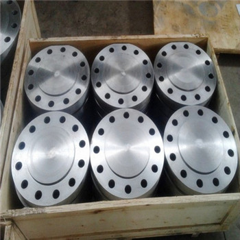 Gulung Froging SS316 Steel Flange 150bls Pipe Fitting 