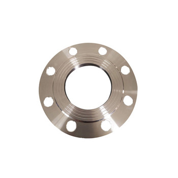 Flange 1.4547 S31254 254smo Stainless Steel 