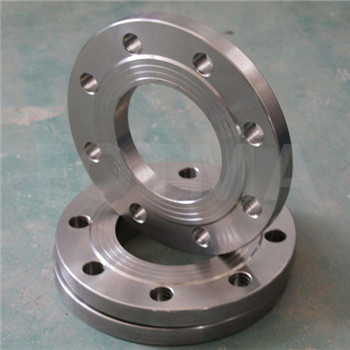 ANSI / DIN Forged Carbon / Stainless Steel Pn10 / 16 Welding Leher / Wuta / Slip on / Flat / RF / FF Flange Pipe 