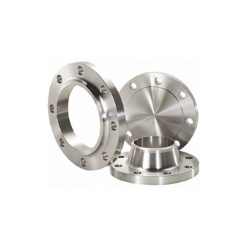 AISI Standard 304L Steel Pipe Fitting Pipa Flange 