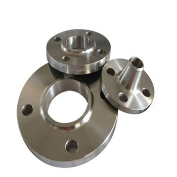 Flange ANSI Plate A182 F316 F316L SS316 Stainless Steel 