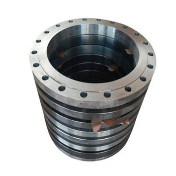 Flange stainless steel ASTM A182 F316L Cl150 Orifice Flange 