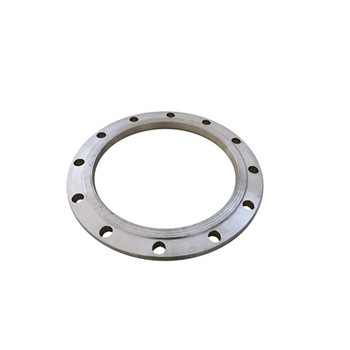 ASTM A182 F304L F316L Flange Stainless Steel 