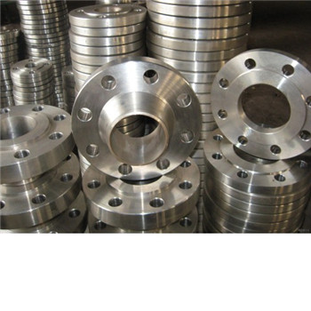 Produsen OEM Stainless Steel ANSI B16.5 Wn Flange 304 316 304L 316L 