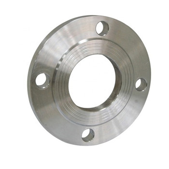 Precision Silica Sol Casting Stainless Steel 304/316 Flind Flange 