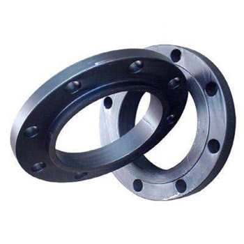 ANSI / DIN Forged Carbon / Stainless Steel Pn10 / 16 Welding Leher / Wuta / Slip on / Flat / RF / FF Flange Pipe 