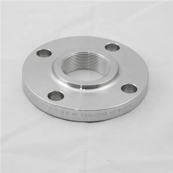 ANSI Welding Neck Stainless Steel 321H 304h 321 304 Flange Pipa 