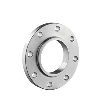 ASTM A182 F304L F316L Casting Flange Stainless Steel 