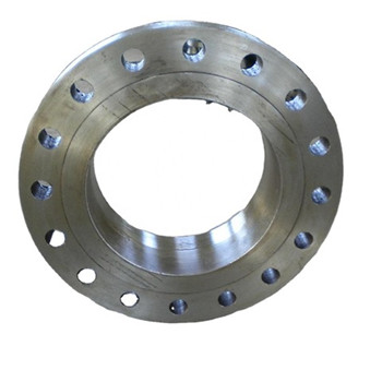 ASTM B16.5 A182 F316 F316L Flange Stainless Steel 